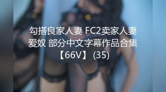 勾搭良家人妻 FC2卖家人妻爱奴 部分中文字幕作品合集【66V】 (35)