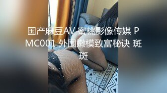 国产麻豆AV 蜜桃影像传媒 PMC001 外围嫩模致富秘诀 斑斑