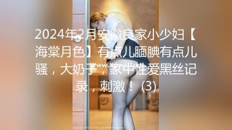 2024年2月安徽良家小少妇【海棠月色】有点儿腼腆有点儿骚，大奶子，家中性爱黑丝记录，刺激！ (3)