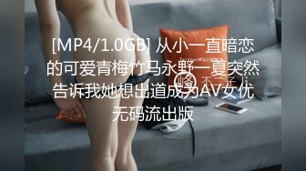 发条少女围裙喵喵