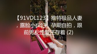 【91VDL123】推特极品人妻，露脸小少妇，孕期自拍，跟前男友性爱还存着 (2)