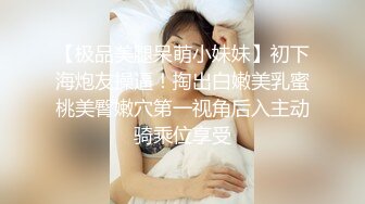 [HD/0.8G] 2024-10-11 MD-0336爆乳候选人政见发表会