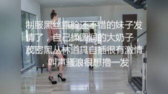 后入翘臀女友-女仆-疯狂-大屁股-女友-气质-调教