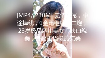 [MP4/ 230M] 无情的屌，中途掉线，1金币继续第二炮，23岁极品四川美女，肤白貌美，身材相当极品完美