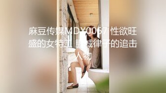 麻豆传媒MDX0067 性欲旺盛的女特工 腥城律子的追击人物