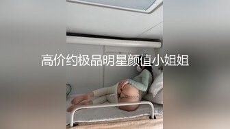 高价约极品明星颜值小姐姐