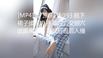 [MP4]上门操骚骚少妇 脱下裙子揉捏奶子 舔屌口交掰穴近距离视角 翘起屁股后入撞击