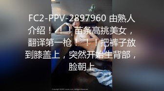 FC2-PPV-2897960 由熟人介绍！ ！！苗条高挑美女，翻译第一枪！ ！！把裤子放到膝盖上，突然开始生背部，脸朝上