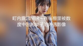 町内露营NTR～在帐棚里被数度中出的妻子的外遇影像