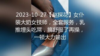 2023-10-27【赵探花】女仆装大奶女技师，全套服务，乳推埋头吃屌，搞舒服了再操，一顿大力输出