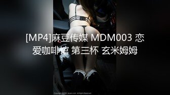 [MP4]麻豆传媒 MDM003 恋爱咖啡馆 第三杯 玄米姆姆