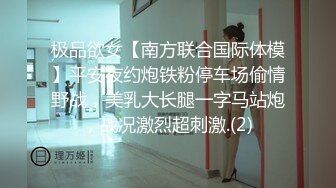 极品欲女【南方联合国际体模】平安夜约炮铁粉停车场偷情野战，美乳大长腿一字马站炮，战况激烈超刺激.(2)