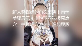 新人骚御姐的自慰表演！肉丝美腿展示！半脱下丝袜假屌磨穴，抽插肥穴浪叫，翘起屁股爆插菊花