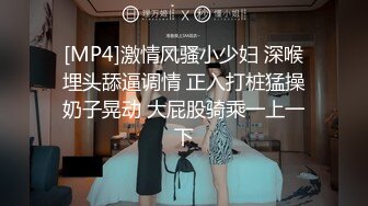 [MP4]激情风骚小少妇 深喉埋头舔逼调情 正入打桩猛操奶子晃动 大屁股骑乘一上一下