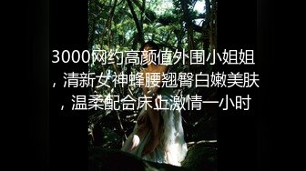 3000网约高颜值外围小姐姐，清新女神蜂腰翘臀白嫩美肤，温柔配合床上激情一小时