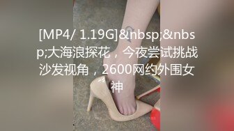 [MP4/ 1.19G]&nbsp;&nbsp;大海浪探花，今夜尝试挑战沙发视角，2600网约外围女神