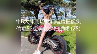 牛B大神商场女厕暗藏摄像头偷窥53位美女少妇嘘嘘 (25)