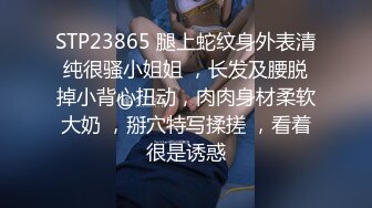 STP23865 腿上蛇纹身外表清纯很骚小姐姐 ，长发及腰脱掉小背心扭动，肉肉身材柔软大奶 ，掰穴特写揉搓 ，看着很是诱惑