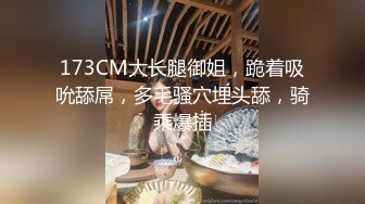 173CM大长腿御姐，跪着吸吮舔屌，多毛骚穴埋头舔，骑乘爆插