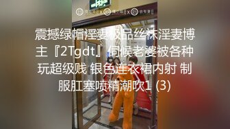 震撼绿帽淫妻极品丝袜淫妻博主『2Tgdt』伺候老婆被各种玩超级贱 银色连衣裙内射 制服肛塞喷精潮吹1 (3)