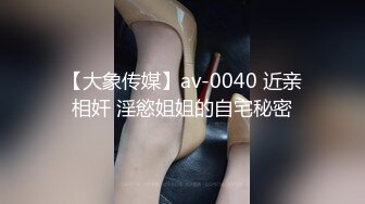 【大象传媒】av-0040 近亲相奸 淫慾姐姐的自宅秘密