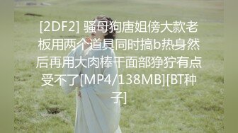 [2DF2] 骚母狗唐姐傍大款老板用两个道具同时搞b热身然后再用大肉棒干面部狰狞有点受不了[MP4/138MB][BT种子]