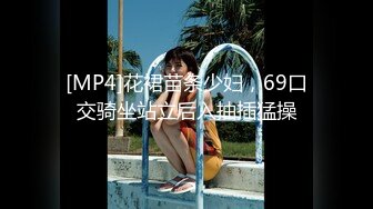 [MP4]花裙苗条少妇，69口交骑坐站立后入抽插猛操