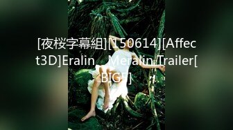 [夜桜字幕組][150614][Affect3D]Eralin _ Meralin Trailer[BIG5]