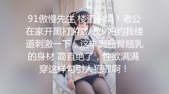 91茄子.女导游推销纪念品勾引土豪游客-糖糖