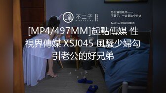 [MP4/497MM]起點傳媒 性視界傳媒 XSJ045 風騷少婦勾引老公的好兄弟