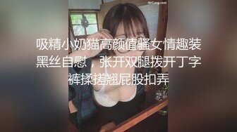 吸精小奶猫高颜值骚女情趣装黑丝自慰，张开双腿拨开丁字裤揉搓翘屁股扣弄