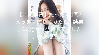 【中文字幕】たった7时间2人っきりにしてみたら…结果、12発セックスしてました。 波多野结衣