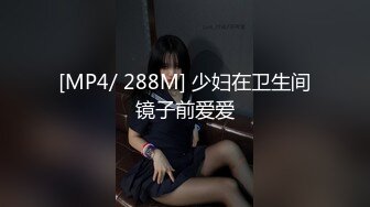 [MP4/ 288M] 少妇在卫生间镜子前爱爱