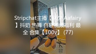 Stripchat主播【林夕 Aafairy】抖奶 热舞 自慰视频福利 最全 合集【100v】 (77)