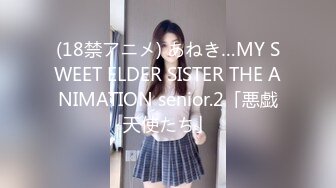 (18禁アニメ) あねき…MY SWEET ELDER SISTER THE ANIMATION senior.2「悪戯天使たち」