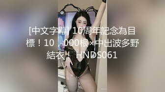 [中文字幕] 10周年記念為目標！10，000根×中出波多野結衣！ HNDS061