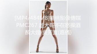 [MP4/484MB]蜜桃影像傳媒 PMC267 趁大哥不在怒操酒醉大嫂 吳芳宜(嘉儀)