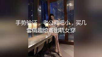 手势验证，老公鸡吧小，买几套情趣给粤出轨女穿