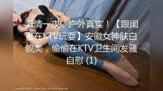 激情一夜，户外真实！【跟闺蜜在KTV玩耍】安徽女神肤白貌美，偷偷在KTV卫生间发骚自慰 (1)