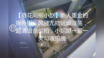 【寻花问柳小赵】新人重金约操外围，风骚尤物妩媚淫荡，超清设备偷拍，小姐姐一颦一笑勾魂摄魄