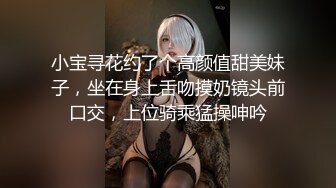 小宝寻花约了个高颜值甜美妹子，坐在身上舌吻摸奶镜头前口交，上位骑乘猛操呻吟