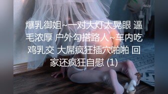 爆乳御姐~一对大灯太晃眼 逼毛浓厚 户外勾搭路人~车内吃鸡乳交 大屌疯狂插穴啪啪 回家还疯狂自慰 (1)