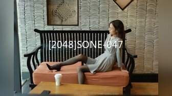 [2048]SONE-047