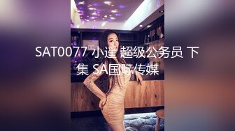 SAT0077 小遥 超级公务员 下集 SA国际传媒