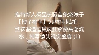 推特新人极品长腿苗条烧婊子【橙子橙子】VIP福利私拍，丝袜塞逼道具疯狂紫薇高潮流水，特写镜头视觉盛宴 (1)