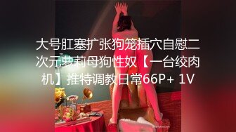 大号肛塞扩张狗笼插穴自慰二次元萝莉母狗性奴【一台绞肉机】推特调教日常66P+ 1V