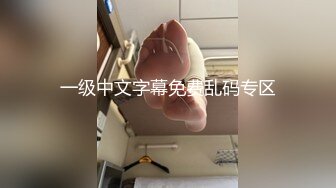 一级中文字幕免费乱码专区