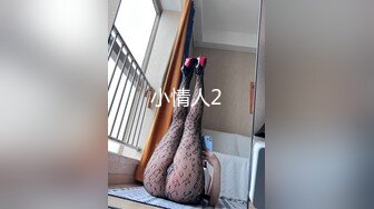 小情人2