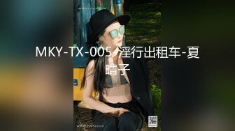 MKY-TX-005-淫行出租车-夏晴子