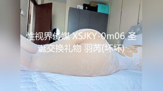 性视界传媒 XSJKY-0m06 圣诞交换礼物 羽芮(坏坏)